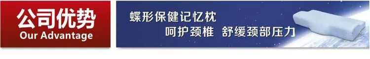 公司优势