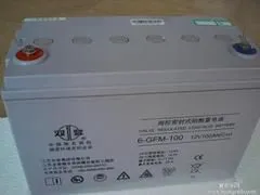 100ah 65