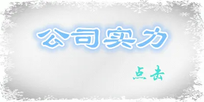 公司实力_副本