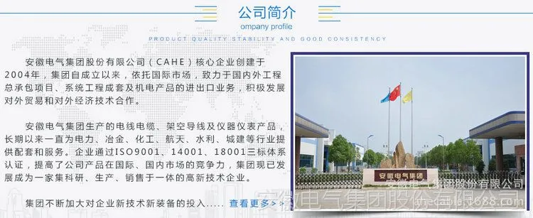 公司简介