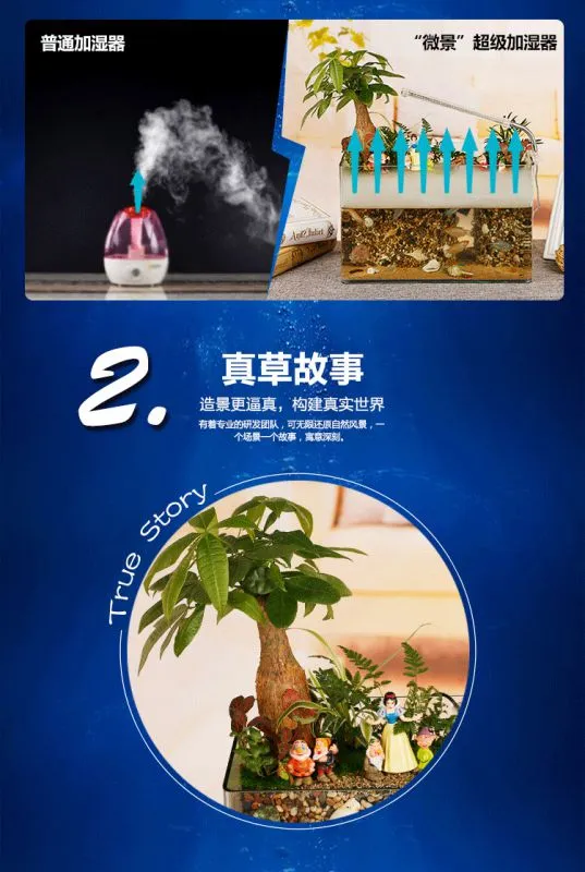 41、阳光姐妹淘(鱼缸)_06