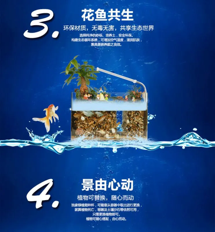41、阳光姐妹淘(鱼缸)_07