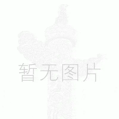 供应便携式测振仪 型号:XLTY-VM63A