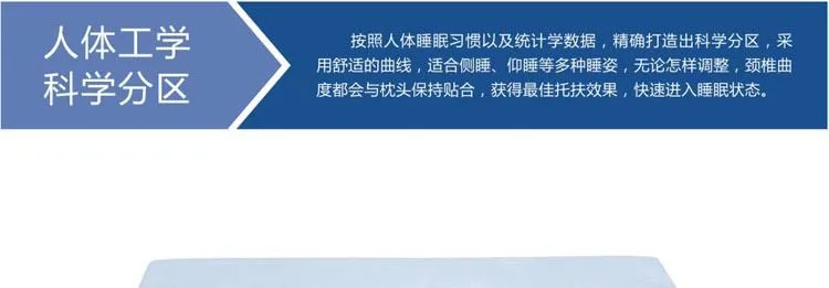 蝶形枕 人体工学 科学分区