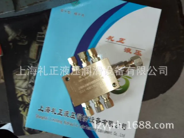 DSC01008