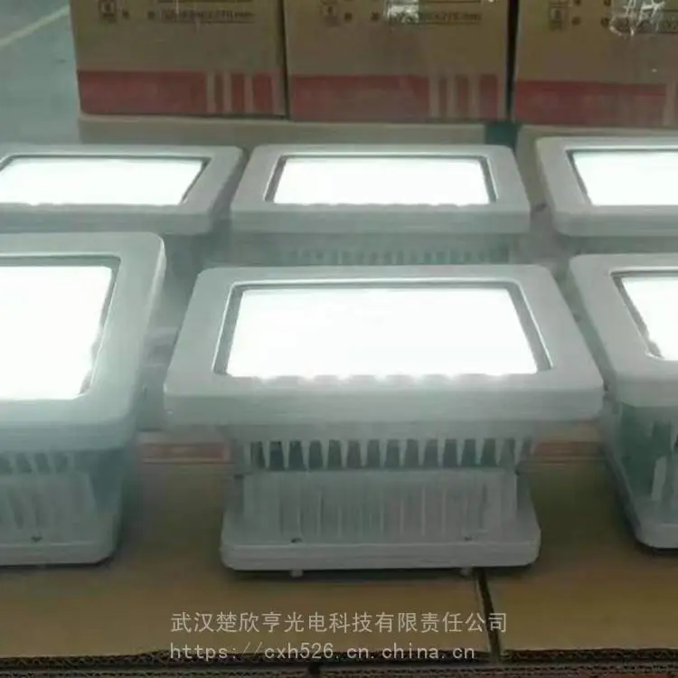 壁挂应急灯 煤矿用应急标志灯 应急灯批发 楚欣亨