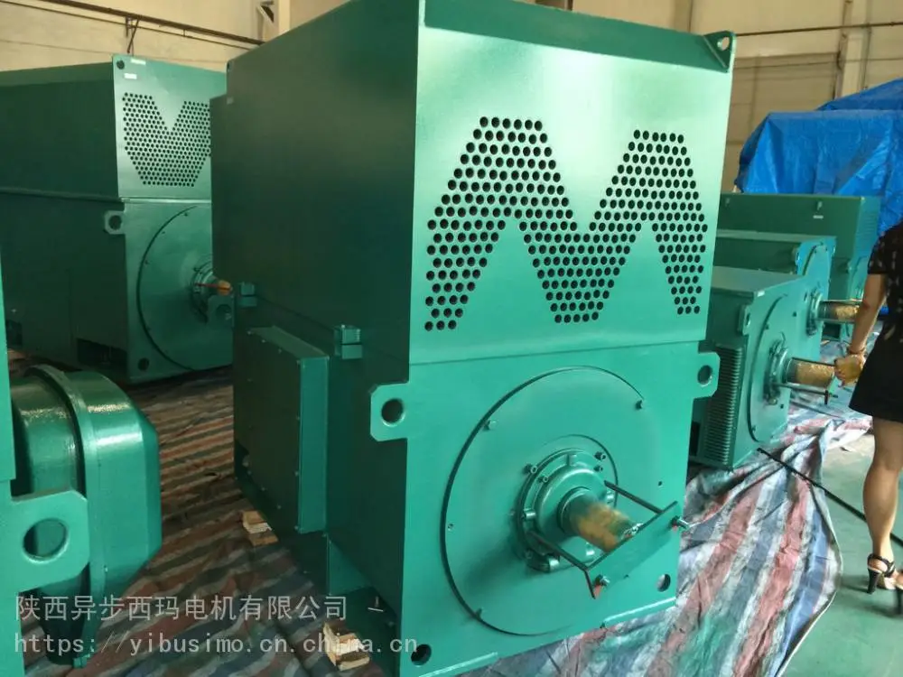 西安泰富西玛电机样本Y5002-10/250KW/10KV高压电机发展前景***