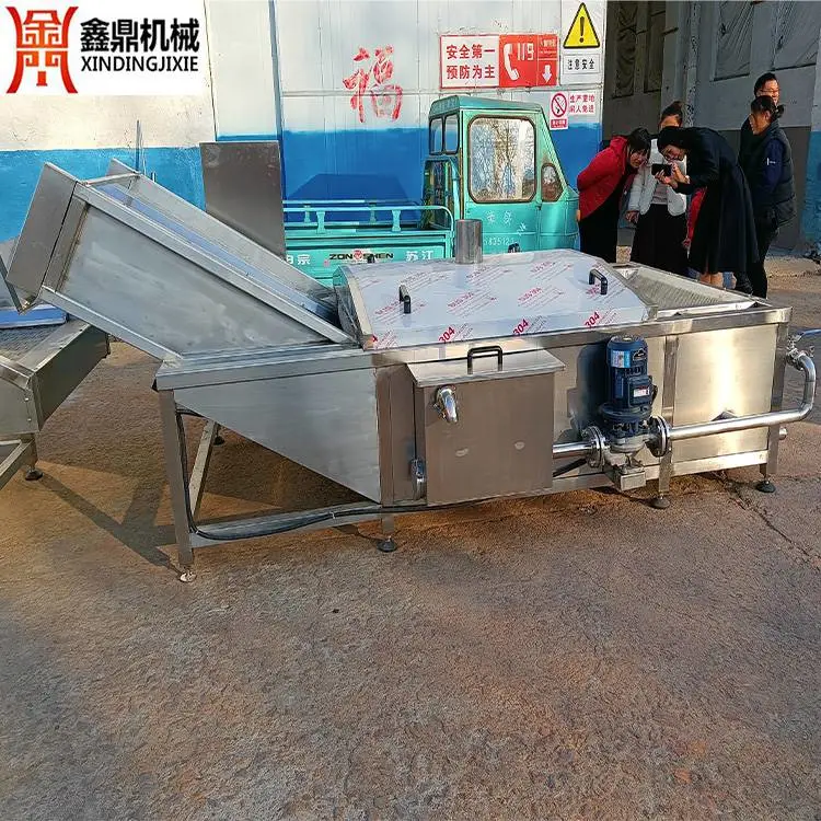 泡菜加工设备 XD-3000多功能萝卜漂烫机 鑫鼎供应