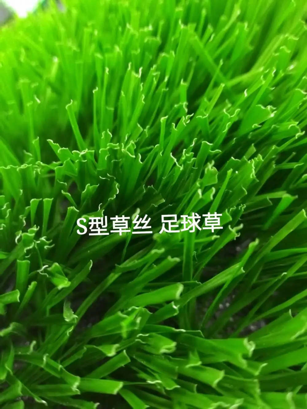 足球场草坪 玉林玉州运动场地操场