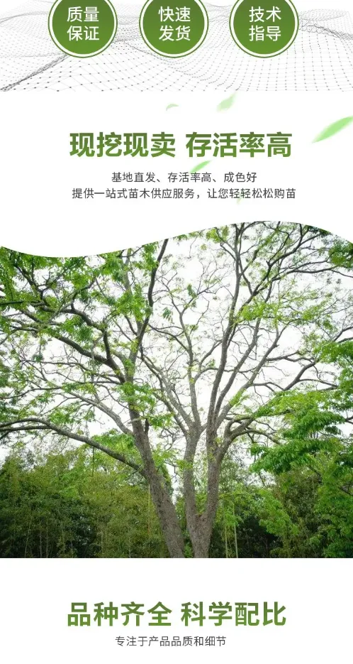 20260314/image/dr6lidokdwbn5t95m2rz7.png