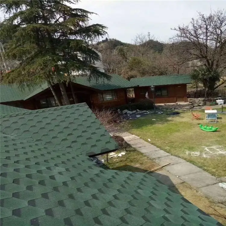 内蒙古包头 沥青瓦片钉子产品介绍