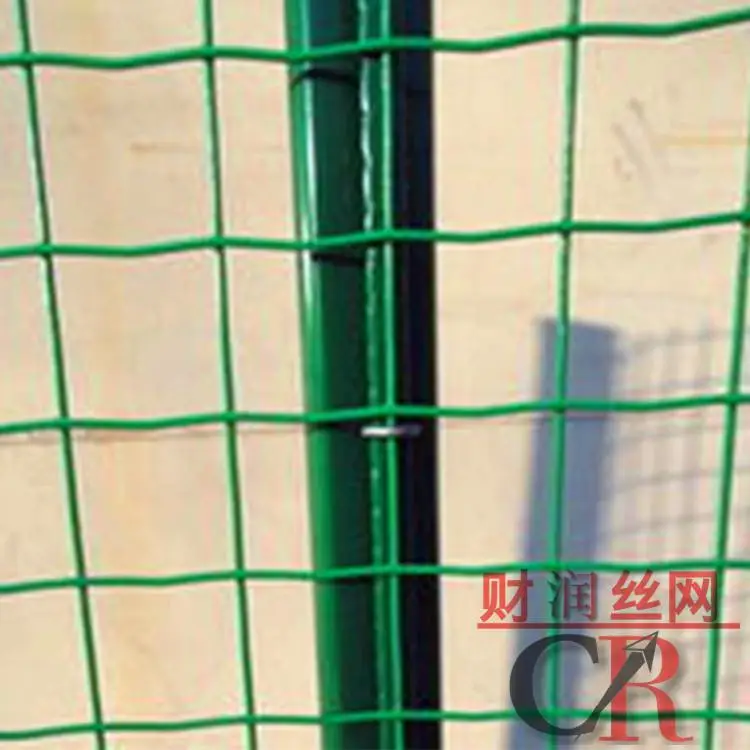 果园围网 安平县财润 荷兰网护栏厂家 荷兰网价格