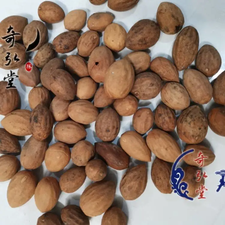 野生中药材榧子有卖的