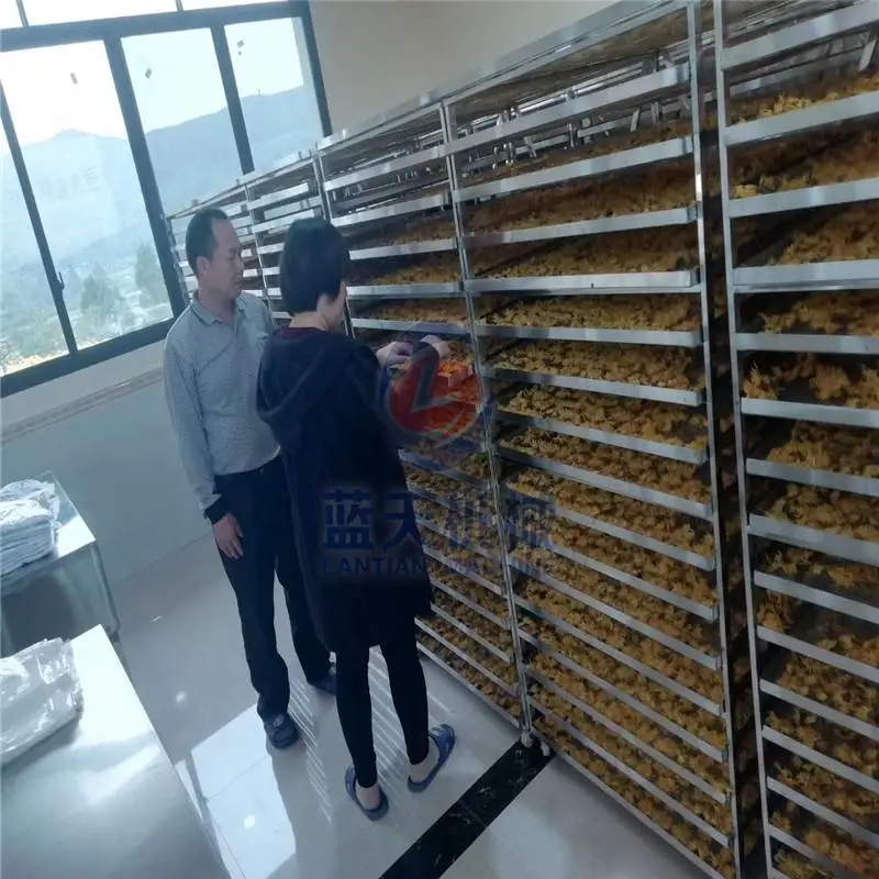烘干房规格 辣椒烘干机品牌 地瓜烘干机价格 金银花烘干机械