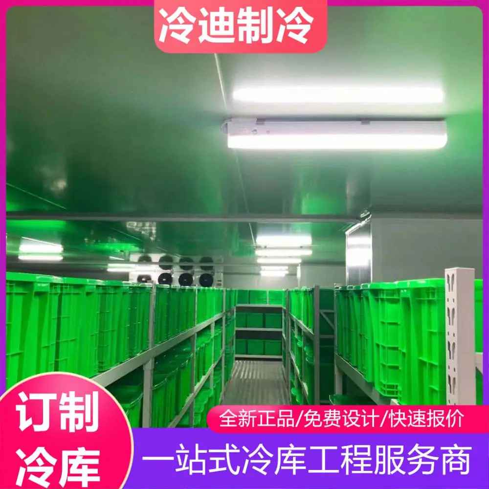 建造1000平方米医药冷库工程费用 支持订制尺寸现场安装