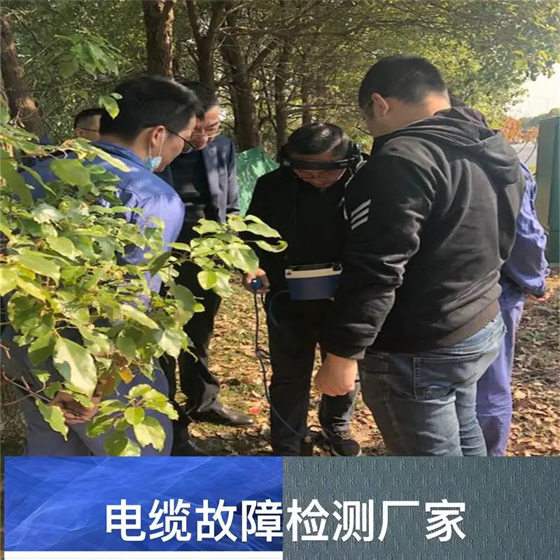 枣庄薛城电缆故障检测技术服务生产厂家