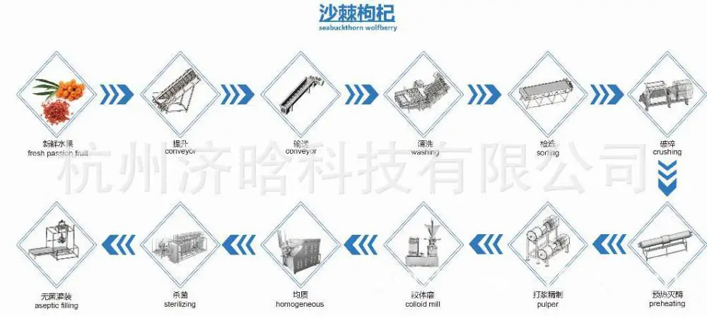 枸杞、沙棘加工生产线工艺图11