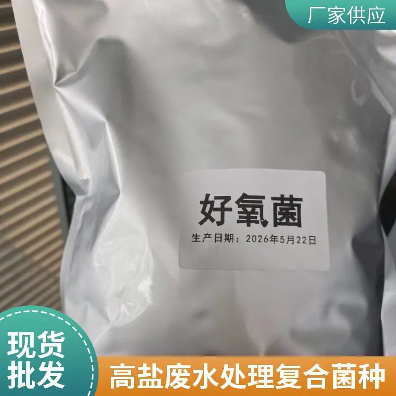含盐废水处理耐高盐好氧菌种 复合菌种 高浓度固体粉末 支持定制