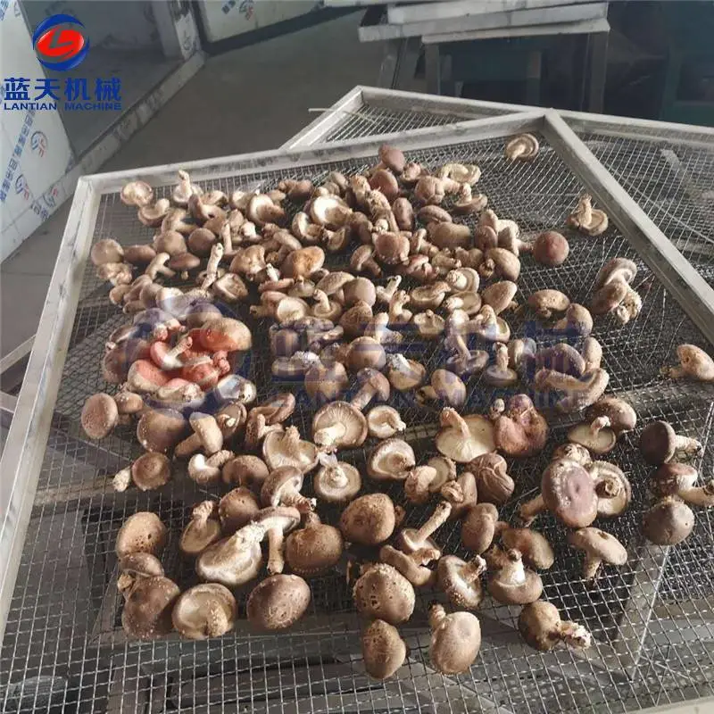 小型香菇烘干机 小型香菇烘干房的价格报价 农村小型蘑菇烘干机价格 厚菇烘干机设备价格