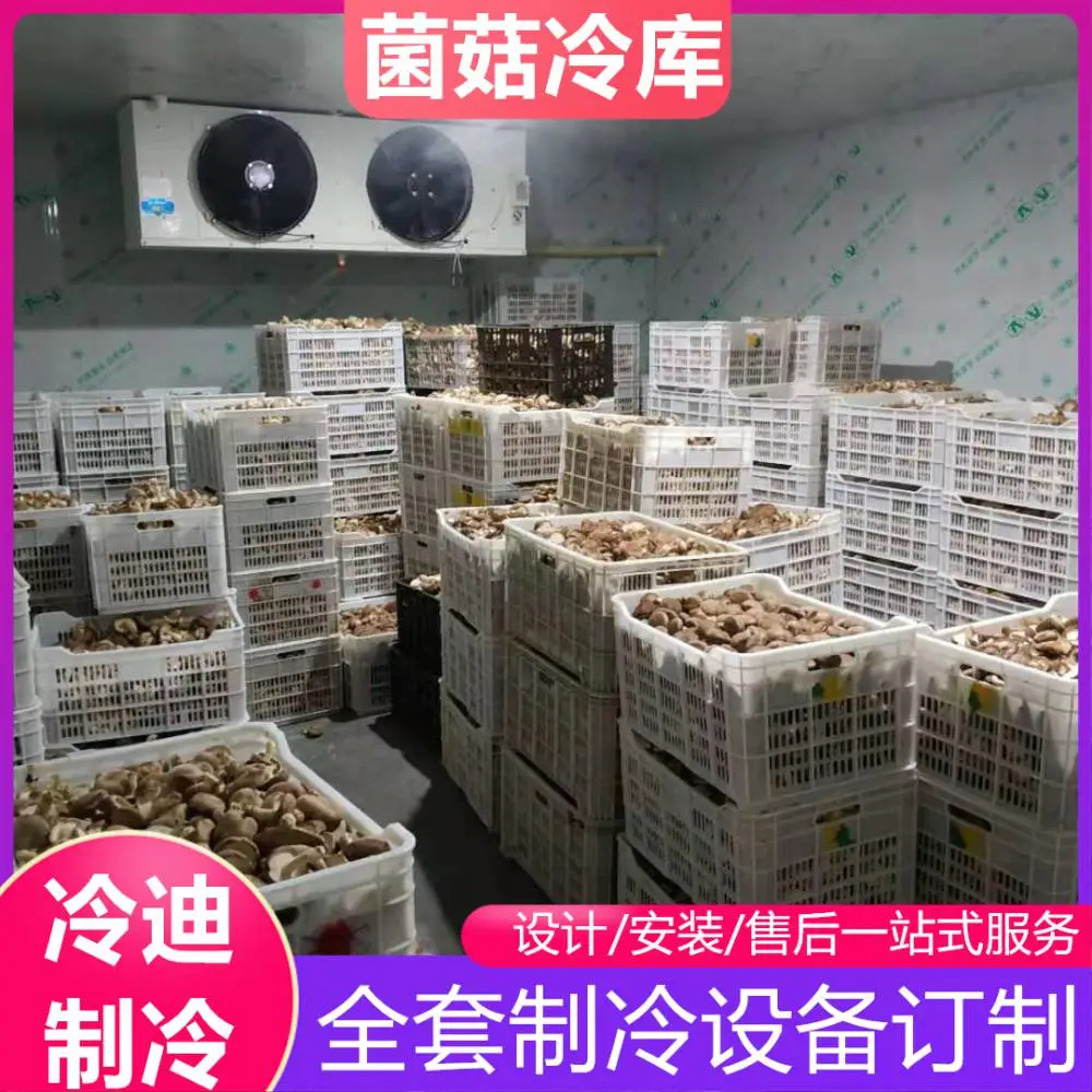 水饺汤圆速冻冷库 海鲜肉类冷冻库 生产型冷库建造安装