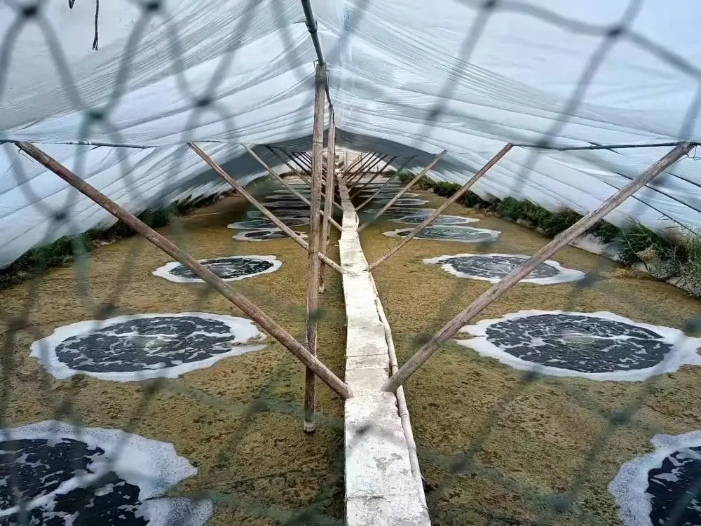 雷茨水产养殖曝气增氧机诚招代理