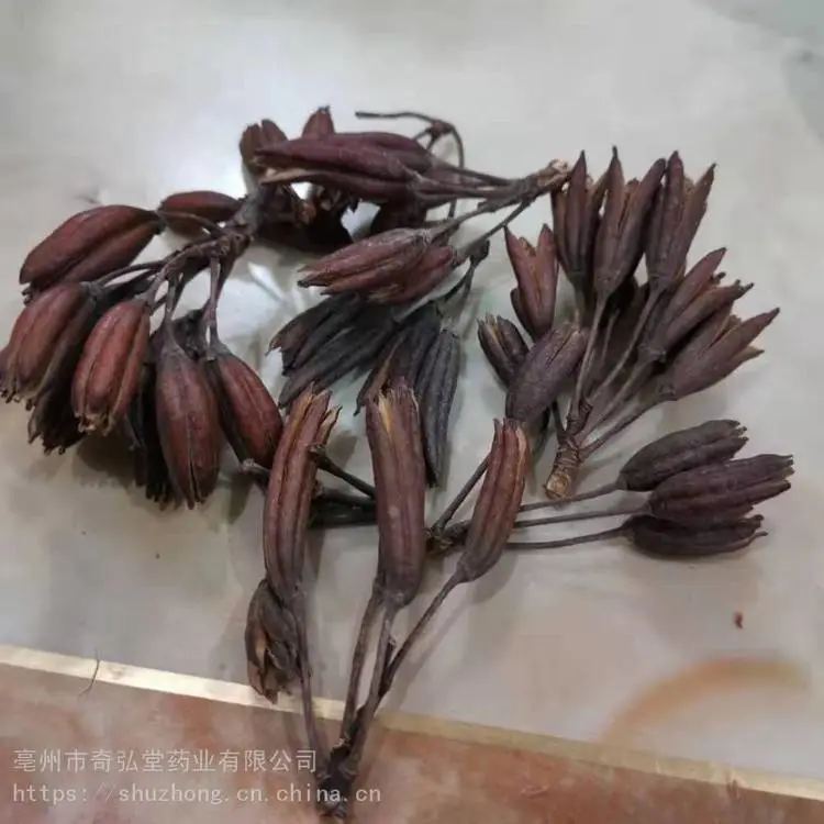 六轴子得到/六轴子效果