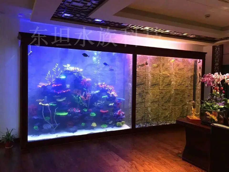 黄埔海水鱼缸定做工厂,黄埔鱼缸过滤系统,广州海水鱼缸