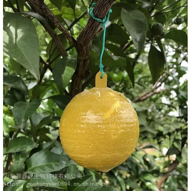 带孔诱蝇球 诱蝇球粘蝇球 脐橙实蝇球 慕春源