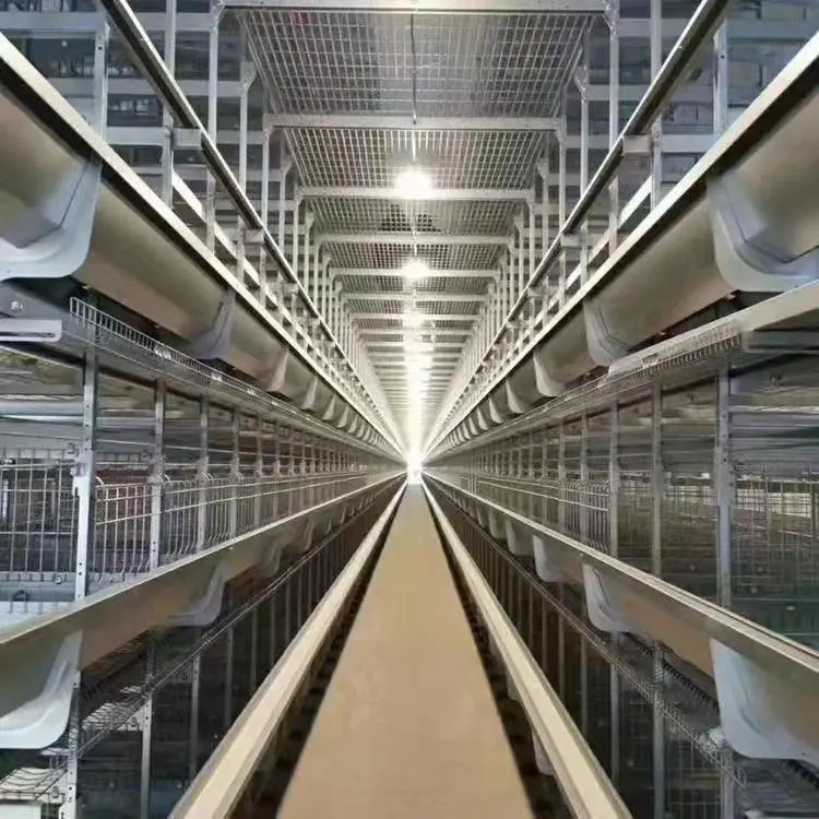厂家直销H型大层叠鸡笼