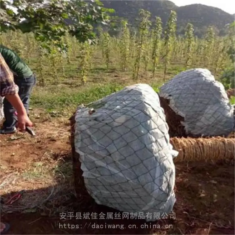 甘肃定西推广新品推广新品树根网斌佳树根运输网包土球网