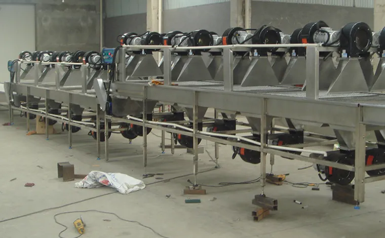 蔬菜清洗风干流水线