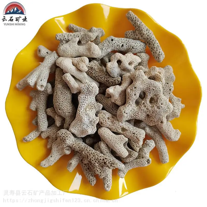 云石供应 海缸珊瑚砂造景 3-8cm水族馆用珊瑚沙 鱼缸滤料珊瑚骨