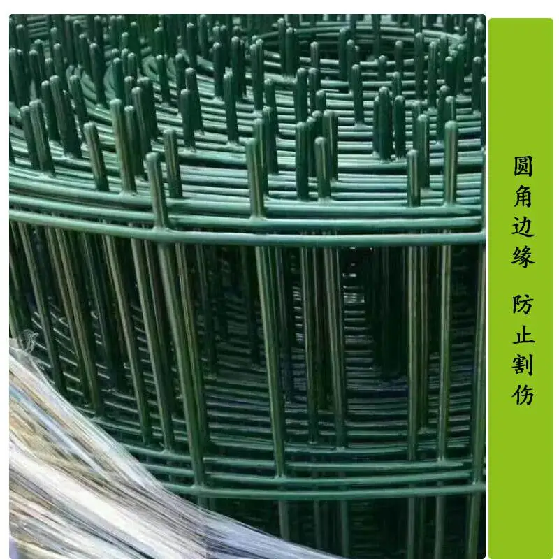 厂家供应 养殖荷兰网 养鸡铁丝网 浸塑护栏网