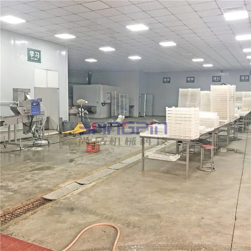 麦乐鸡块成型机不锈钢 小型上校鸡块裹粉油炸生产线