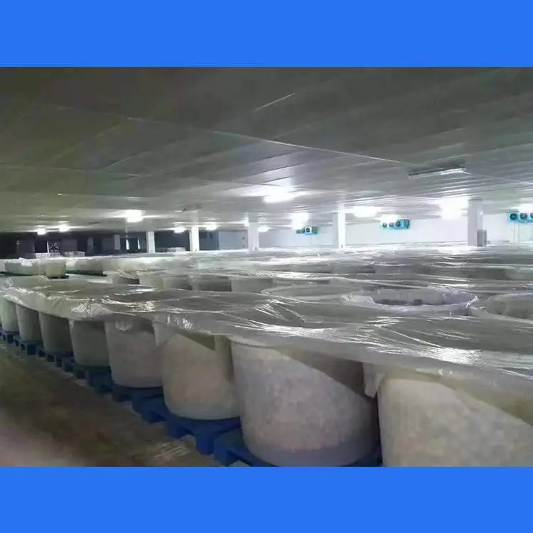 南充市竹笋桶皮蛋桶 南充市1000升食品发酵桶 南充市食品腌制塑料桶厂家