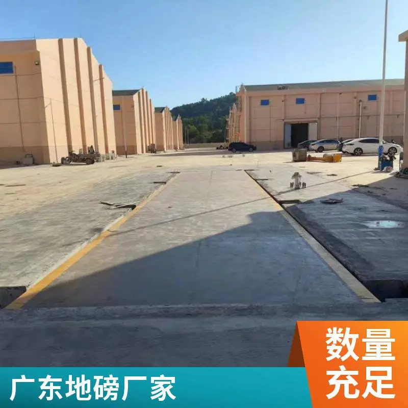 广东汕尾地磅1-200吨汽车衡厂家直销支持定制定做