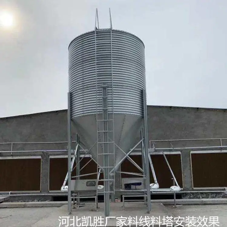 自动化新型饲喂设备 猪场料线 凯胜 安装料塔