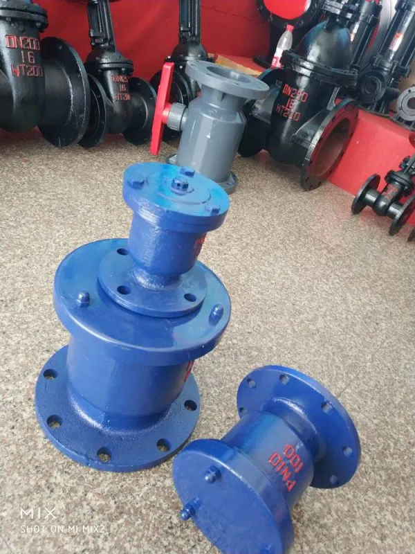 加工定制法兰式单口排气阀 P41X-10 DN300 快速排(吸)气阀量大送货CZT