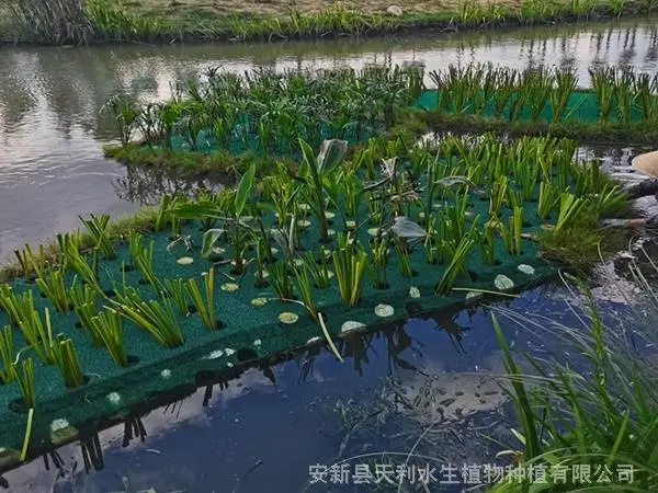 聚酯纤维漂浮湿地,生物浮岛/浮床,人工浮床