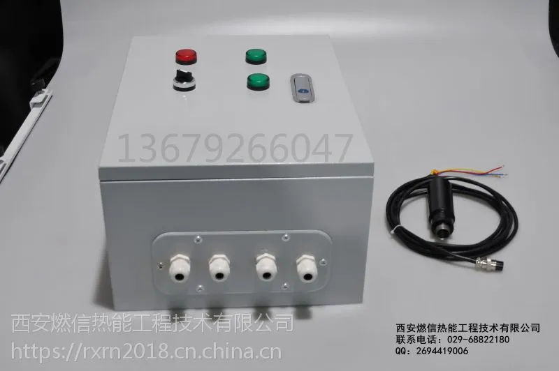 山东 电子点火器厂家 接线型 生产厂家