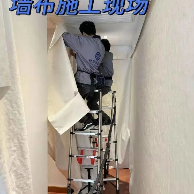二手房装饰， 水电吊顶隔断油漆护墙板 地毯墙布 衣柜橱柜 木门定制