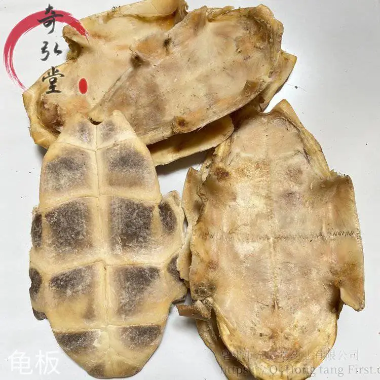 中药材龟板-龟甲的药用价值
