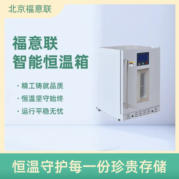 纽扣电池恒温测试箱FYL-YS-828LD