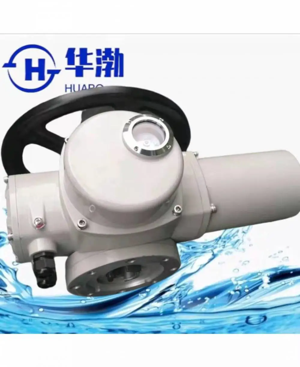 电动执行器 HBDZW45-24/48 转矩开450NM阀门电动装置