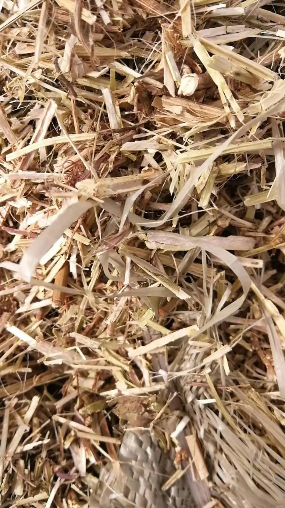 花生秧干草 全国发货牛羊草料 牛羊干草料 羊草干料 花生秧草段 马牛羊驴鹿干牧草饲料 花生秸秆草料