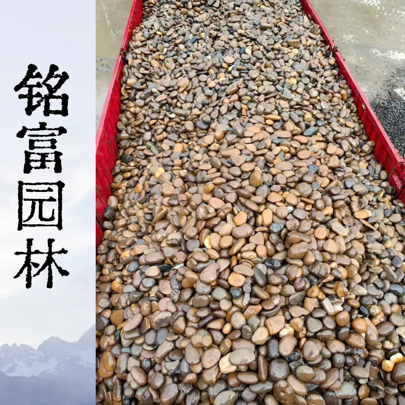天然水洗鹅卵石 变电站消防滤油垫层大小规格齐全可装车