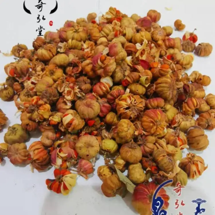 奇弘堂批发野南瓜 算盘子 优惠