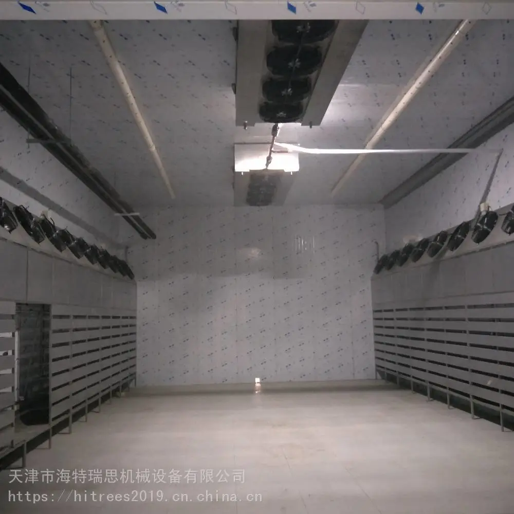鱿鱼快速解冻设备 海鲜专用解冻机 工厂定制冻鱼解冻机