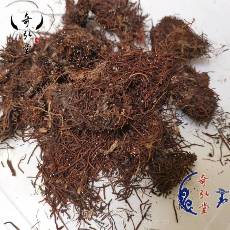 福寿草 奇弘堂福寿草产地批发