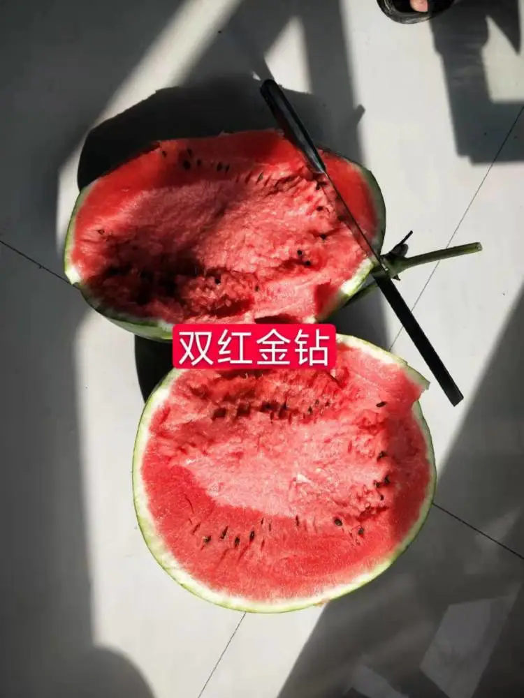 西瓜种子 特大地雷西瓜种子 双红金钻地雷西瓜种子